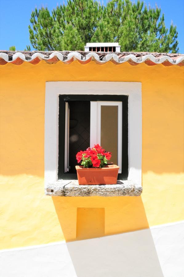 Quinta Da Cabrita Villa Santarem Exterior photo